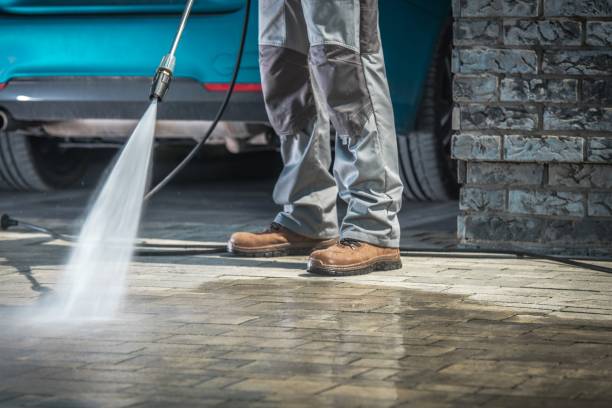 Best Warehouse Cleaning  in Clara City, MN